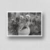 Mini Mutts with Big Stories - Vintage Photographs