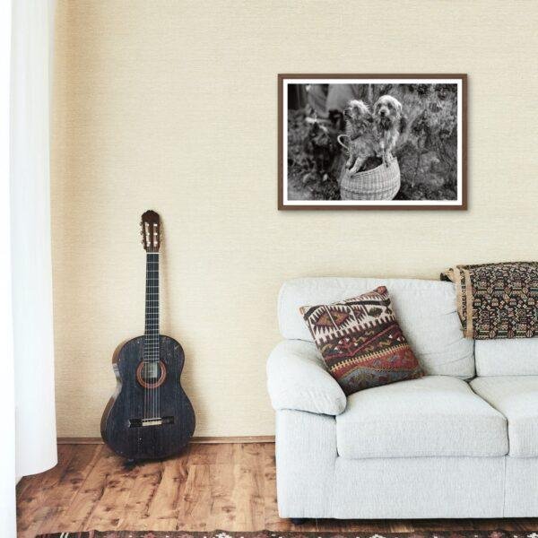 Mini Mutts with Big Stories - Vintage Photographs