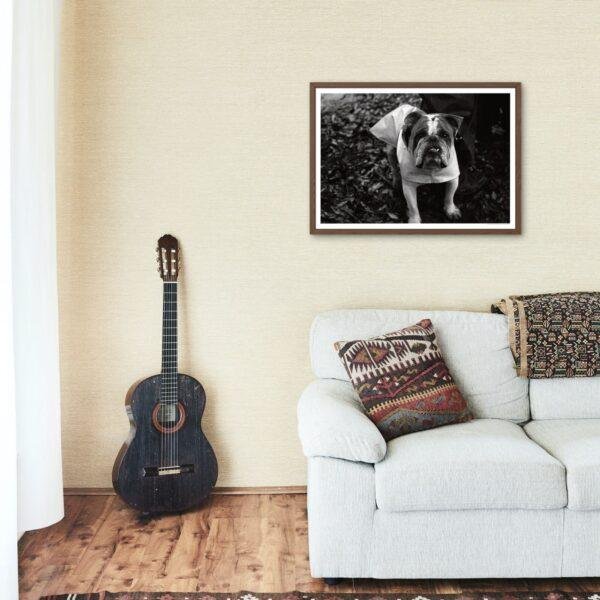 The Pocket Protector - Vintage Photographs