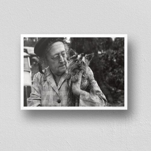 Ladies and Lapdogs, The Perfect Pairing - Vintage Photographs