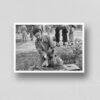 Small Wonders, Big Love - Vintage Photographs