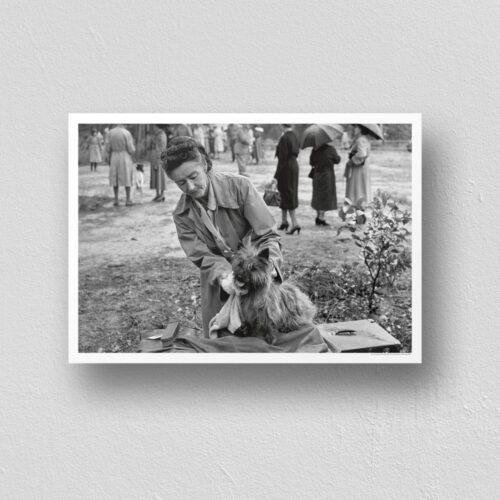 Small Wonders, Big Love - Vintage Photographs