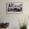 Watermelon Time - Vintage Photographs