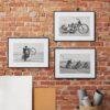 Motorsport Australia - Vintage Photographs