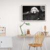 Pawsitively Hilarious - Vintage Photographs
