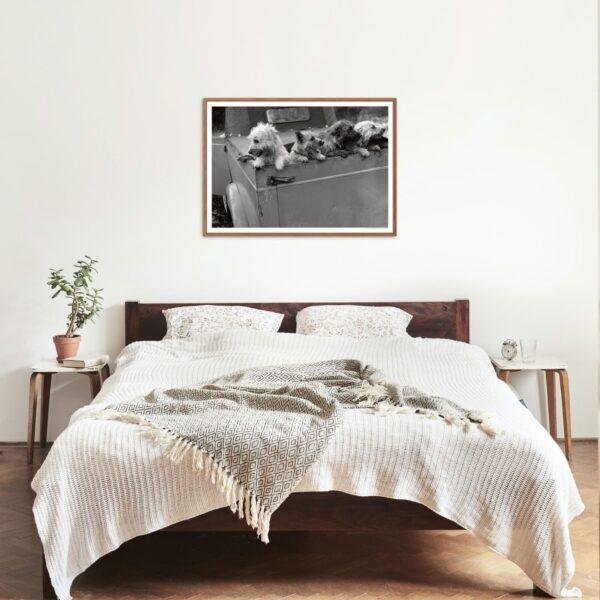 Backseat Barkers | Classic Retro Home Decor for Dog Lovers Gift Idea & Wall Art