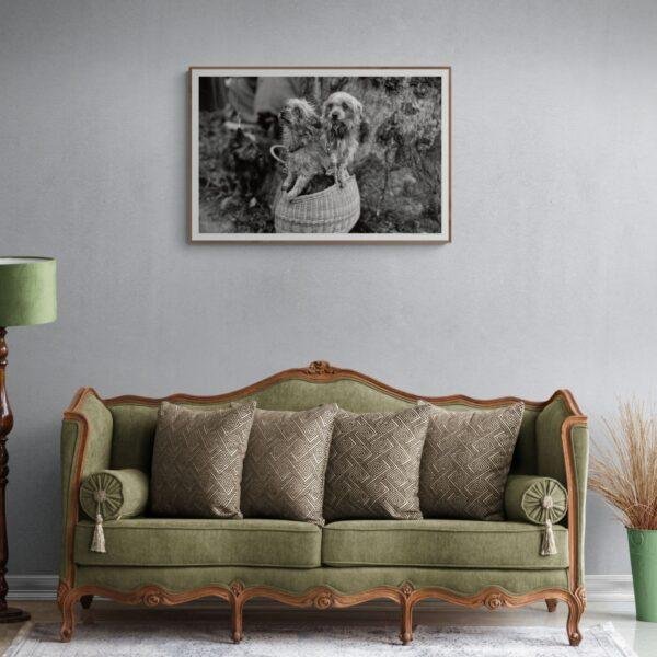 Mini Mutts with Big Stories - Vintage Photographs
