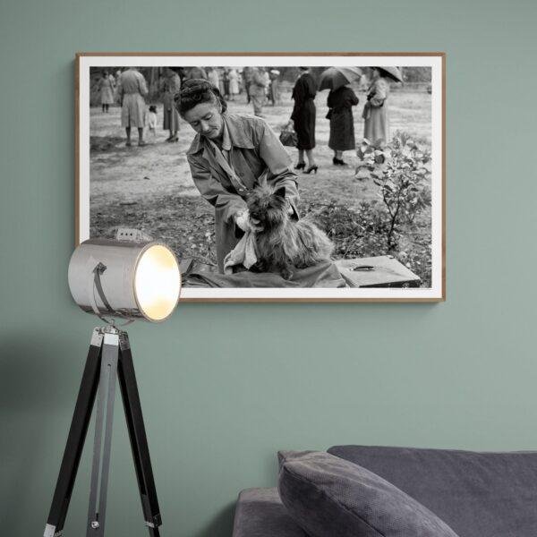 Small Wonders, Big Love - Vintage Photographs