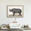 Black Rhinoceros - Animal Art Print
