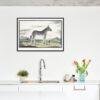 Mountain Zebra - Animal Art Print
