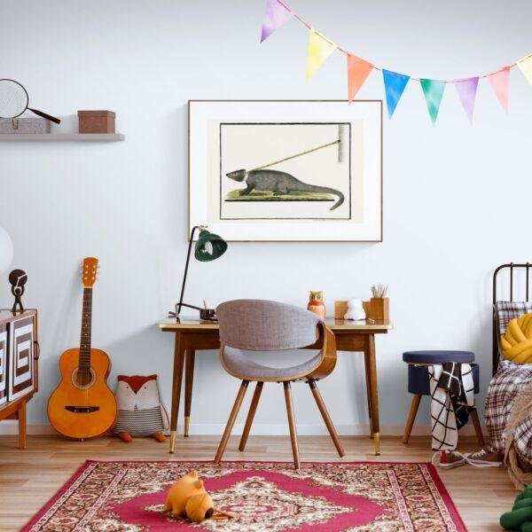 Cape Gray Mongoose - Animal Art Print