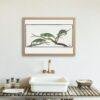 Cape Dwarf Chameleon - Animal Art Print