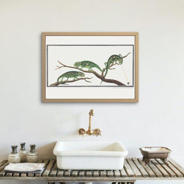 Cape Dwarf Chameleon - Animal Art Print