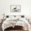Knysna turaco - Animal Art Print