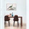 Knysna turaco - Animal Art Print