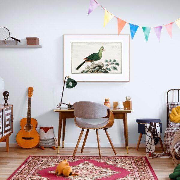 Knysna turaco - Animal Art Print