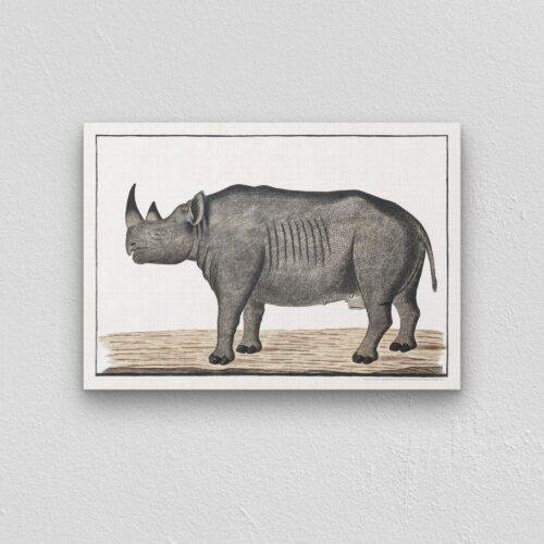 Black Rhinoceros - Animal Art Print