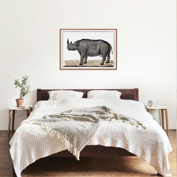 Black Rhinoceros - Animal Art Print
