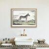 Mountain Zebra - Animal Art Print