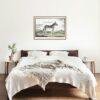 Mountain Zebra - Animal Art Print