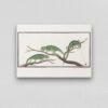 Cape Dwarf Chameleon - Animal Art Print