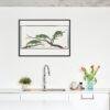 Cape Dwarf Chameleon - Animal Art Print