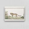 Cheetah - Animal Art Print