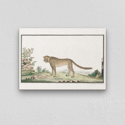Cheetah - Animal Art Print