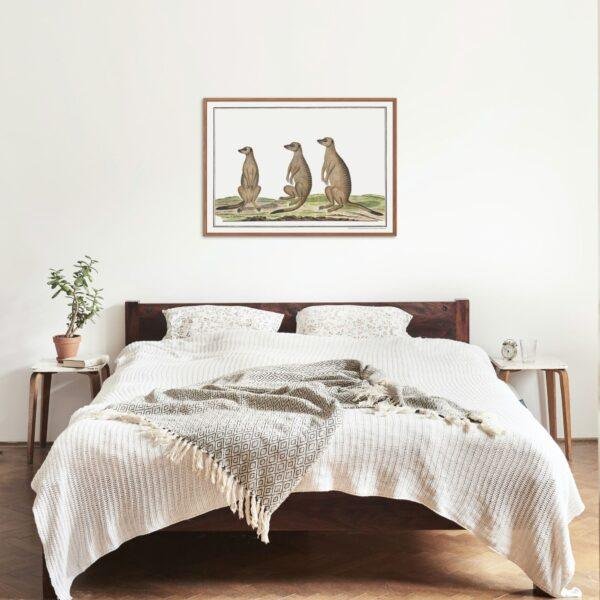 Meerkats - Animal Art Print