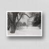 Vintage Photographs of The White House - Antique Wall Decor, Unique Home Art, Beautiful Historical Images, Retro Photography