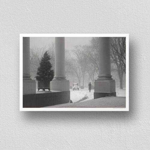 Snow Scene From The White House - Vintage Photograph, Antique Charm, Classic Image, Unique Collectible Decor