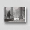 Snow Scene From The White House - Vintage Photograph, Antique Charm, Classic Image, Unique Collectible Decor