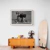 Championships Are Won At Practice Vintage Photographs - Antique Wall Decor Collection, Unique Charm & Character for Home