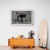 Championships Are Won At Practice Vintage Photographs - Antique Wall Decor Collection, Unique Charm & Character for Home