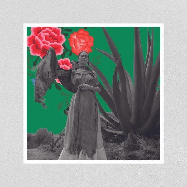 Frida Kahlo: Mexican artist’s myriad faces and powerful paintings