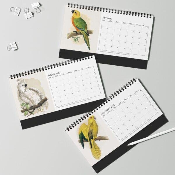 Victorian Parrots Desk Calendar | Natural History Illustrations | Spiral-Bound Monthly Organizer | Made With Love Gift