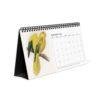 Victorian Parrots Desk Calendar | Natural History Illustrations | Spiral-Bound Monthly Organizer | Made With Love Gift