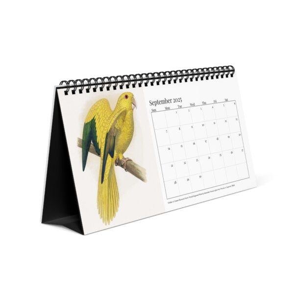 Victorian Parrots Desk Calendar | Natural History Illustrations | Spiral-Bound Monthly Organizer | Made With Love Gift