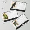 Victorian Parrots Desk Calendar | Natural History Illustrations | Spiral-Bound Monthly Organizer | Made With Love Gift