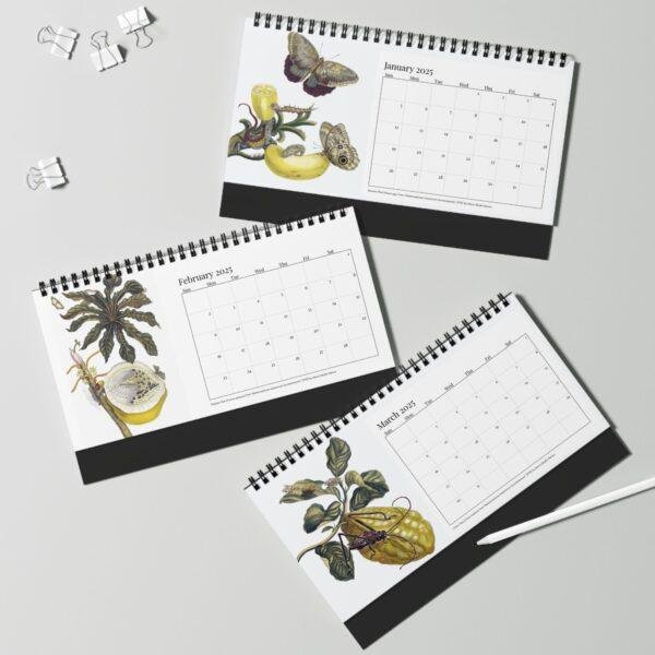 Maria Sibylla Merian Desk Calendar, Spiral-Bound Monthly Organizer, Artistic Gift for Teachers and Historians