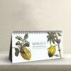 Maria Sibylla Merian Desk Calendar, Spiral-Bound Monthly Organizer, Artistic Gift for Teachers and Historians