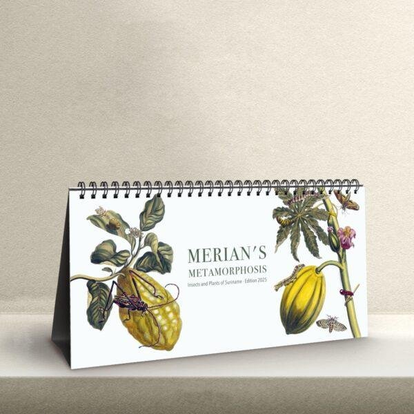 Maria Sibylla Merian Desk Calendar, Spiral-Bound Monthly Organizer, Artistic Gift for Teachers and Historians