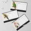 Victorian Parrots Desk Calendar | Natural History Illustrations | Spiral-Bound Monthly Organizer | Made With Love Gift