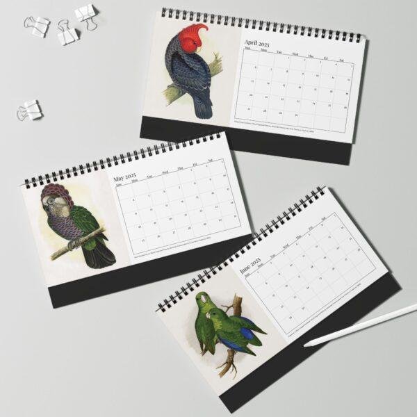 Victorian Parrots Desk Calendar | Natural History Illustrations | Spiral-Bound Monthly Organizer | Made With Love Gift