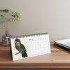 Victorian Parrots Desk Calendar | Natural History Illustrations | Spiral-Bound Monthly Organizer | Made With Love Gift