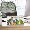 Victorian Parrots Desk Calendar | Natural History Illustrations | Spiral-Bound Monthly Organizer | Made With Love Gift