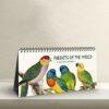 Victorian Parrots Desk Calendar | Natural History Illustrations | Spiral-Bound Monthly Organizer | Made With Love Gift