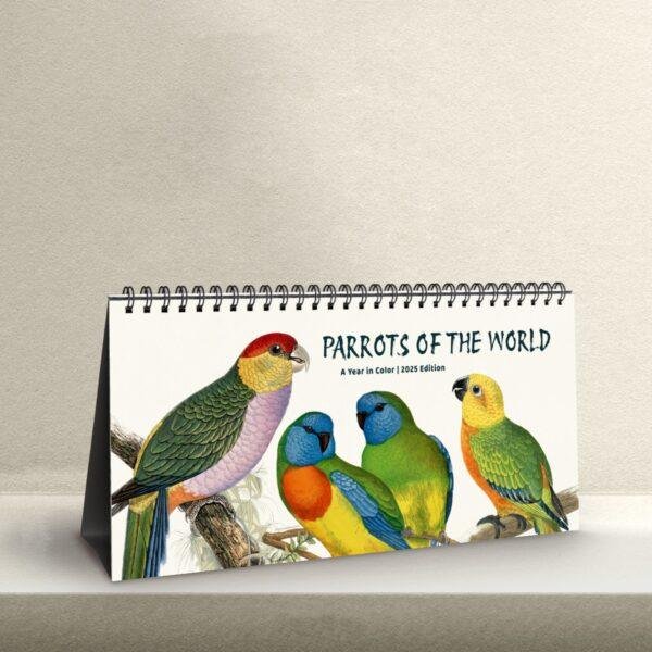 Victorian Parrots Desk Calendar | Natural History Illustrations | Spiral-Bound Monthly Organizer | Made With Love Gift
