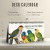 Victorian Parrots Desk Calendar | Natural History Illustrations | Spiral-Bound Monthly Organizer | Made With Love Gift