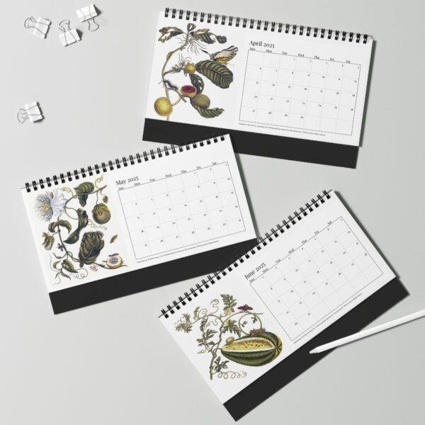 Maria Sibylla Merian Desk Calendar, Spiral-Bound Monthly Organizer, Artistic Gift for Teachers and Historians